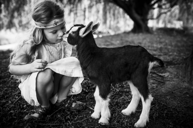 &copy; Niki Boon